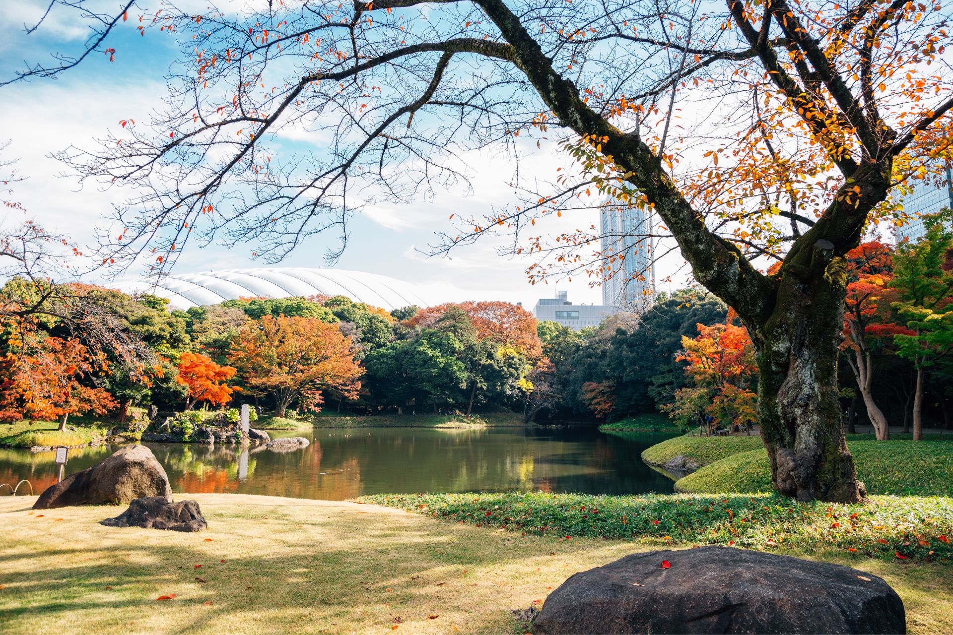 giardino Koishikawa Korakuen